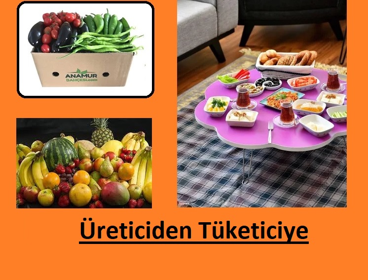 Site Logosu